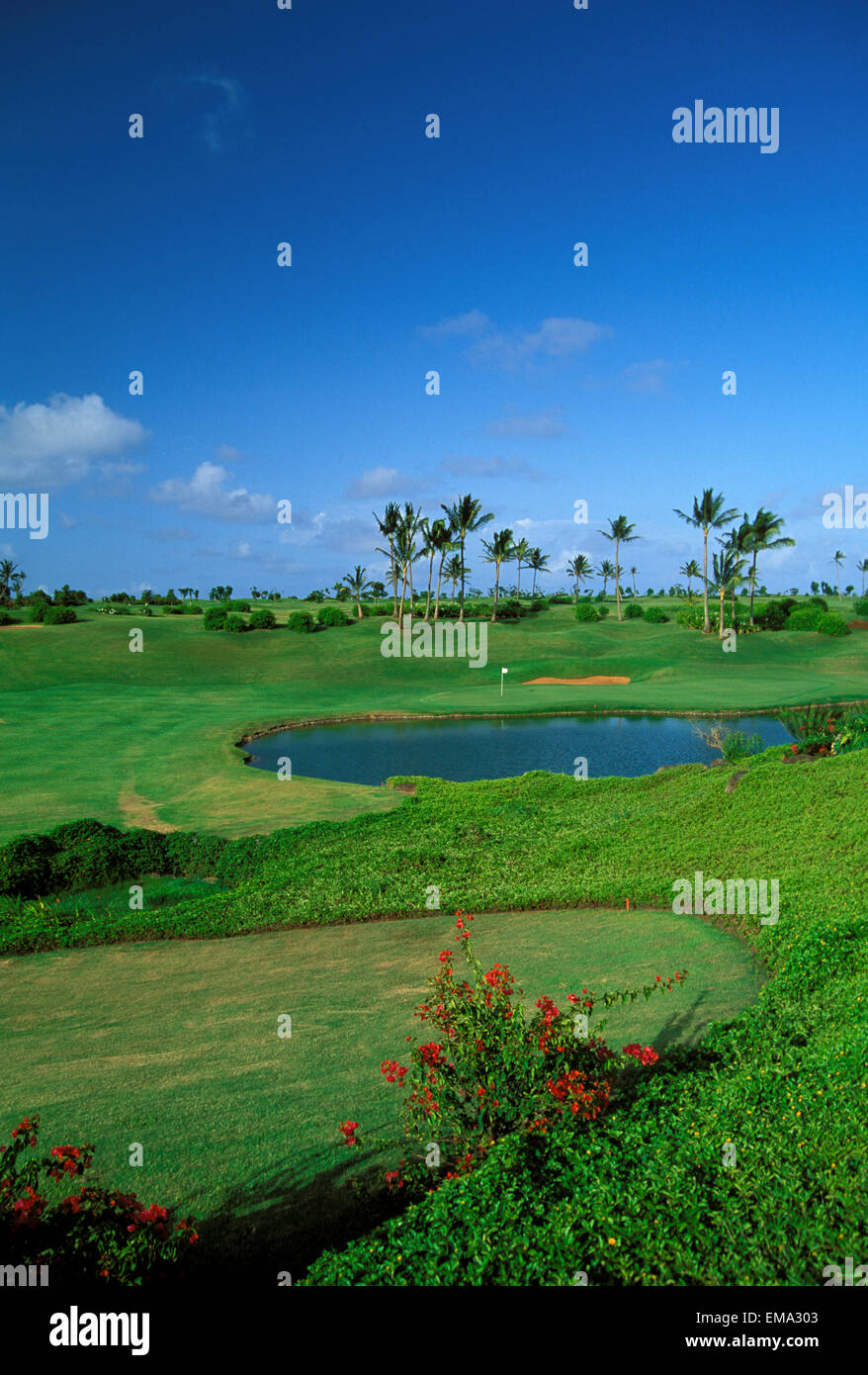 Hawaii, Kauai, Lihue, Kauai Lagoons Resort, Kiele Golf Course, 8Th Hole With Flag, Bougainvillea Foreground, Blue Skies Stock Photo