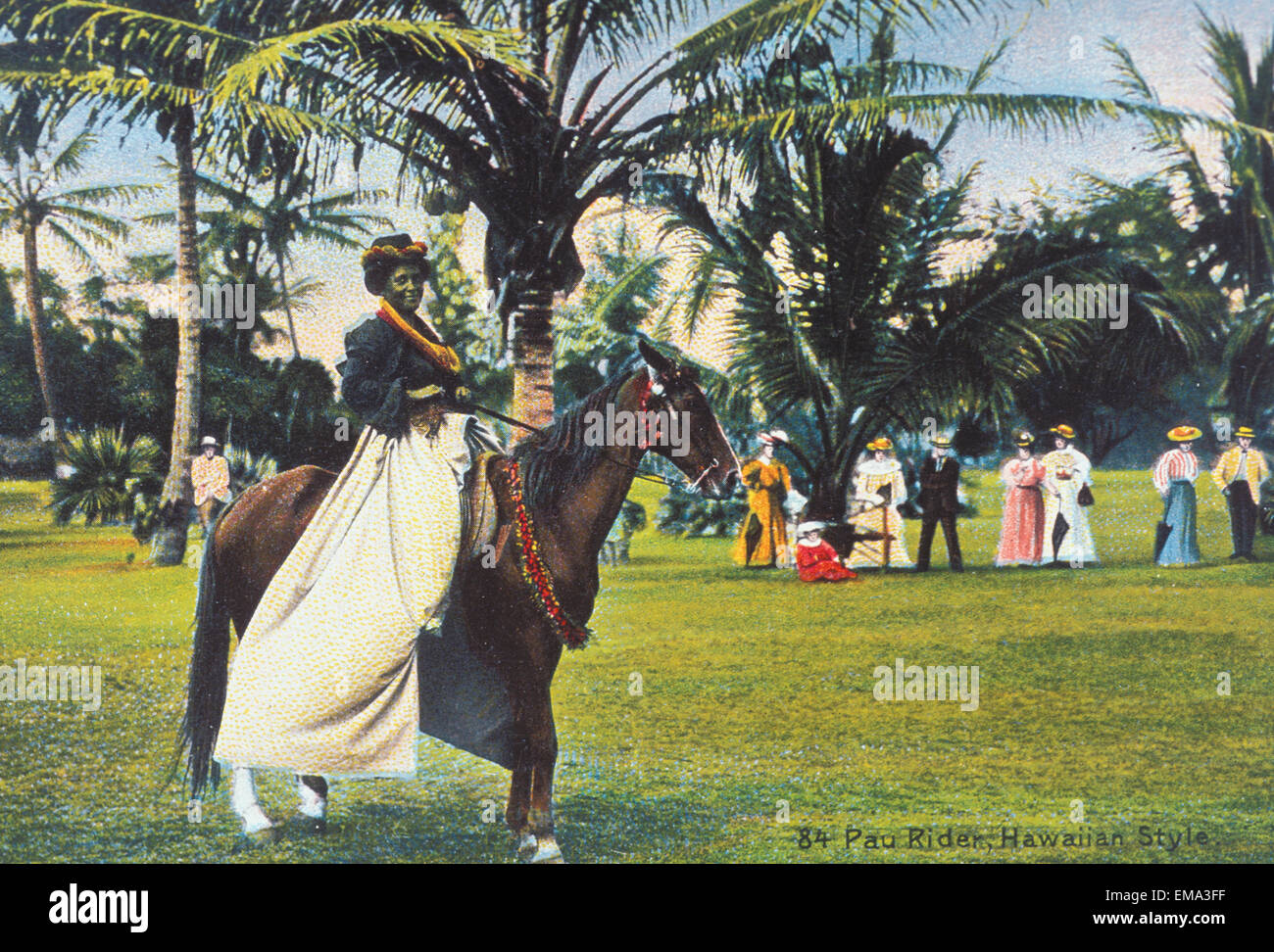 C.1910 Pa'u Rider On Horse With Lei, In Park With People And Palms Background, Postcard Stock Photo