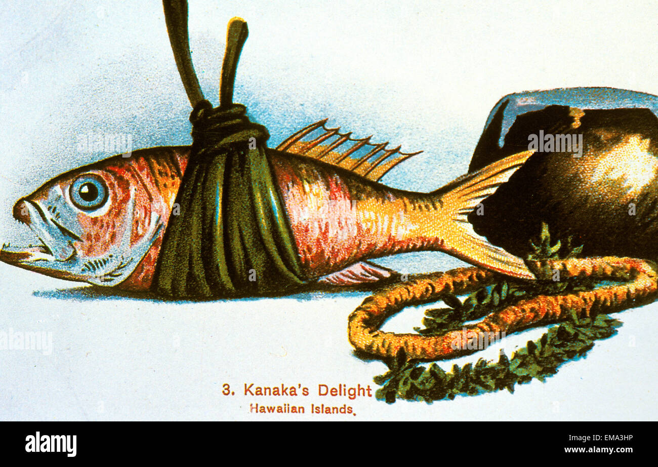 C.1915 Traditional Hawaiian Foods, Fish, Etc. Stock Photo