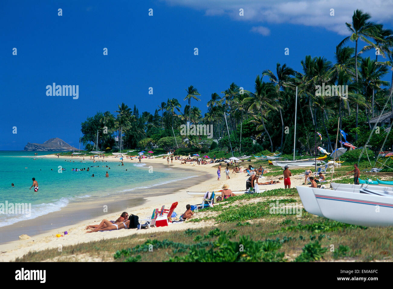 Hawaii, Oahu, Lanikai Beach, People, Palm Trees Stock Photo Alamy