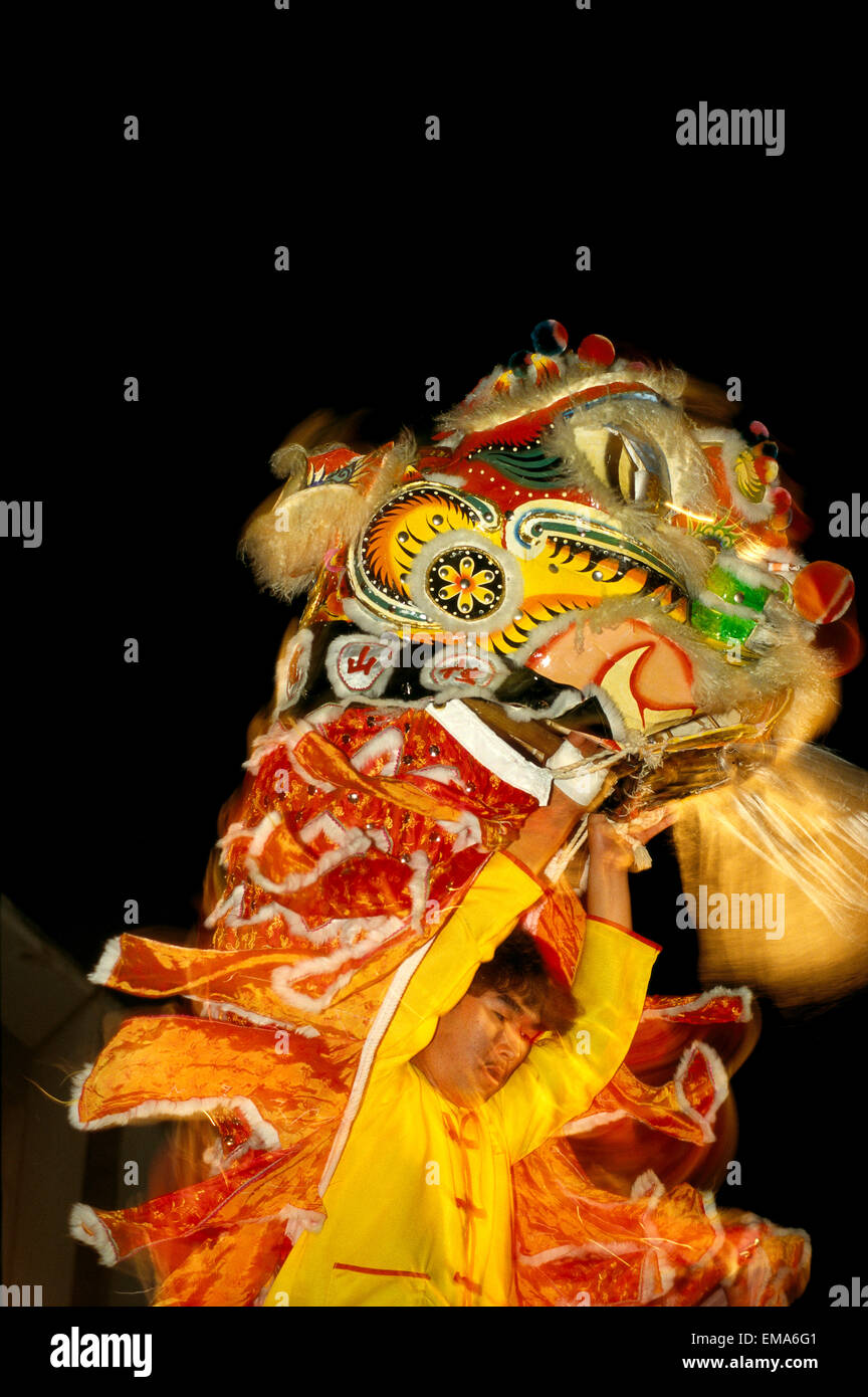 Hawaii, Oahu, Chinatown, Chinese New Year Lion Dance, CloseUp Of Lion