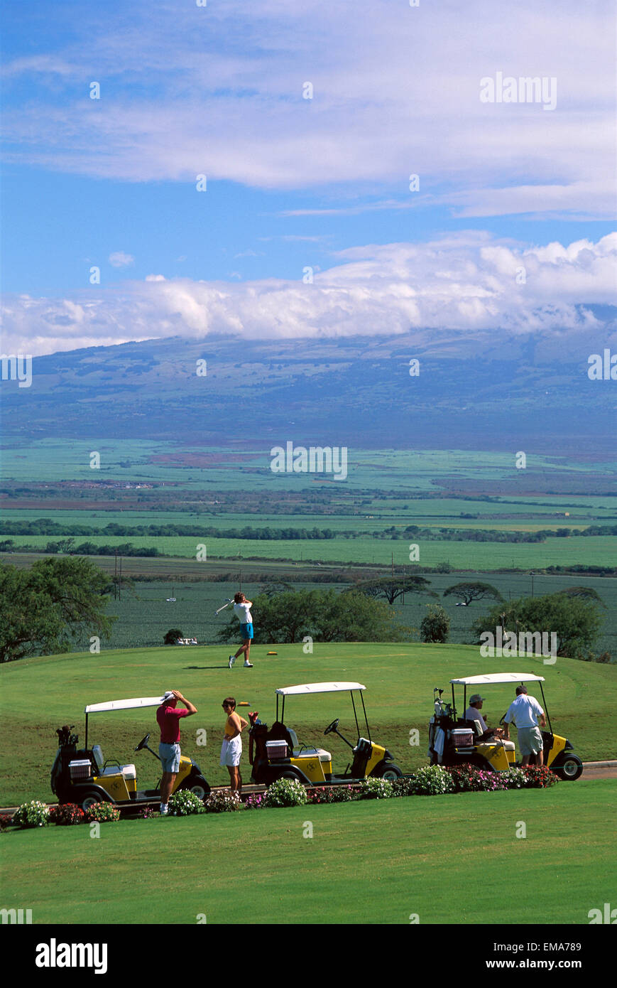 Hawaii, Maui, Golfing On Maui Sandalwood Golf Course, Golf Carts Lined Up Stock Photo Alamy