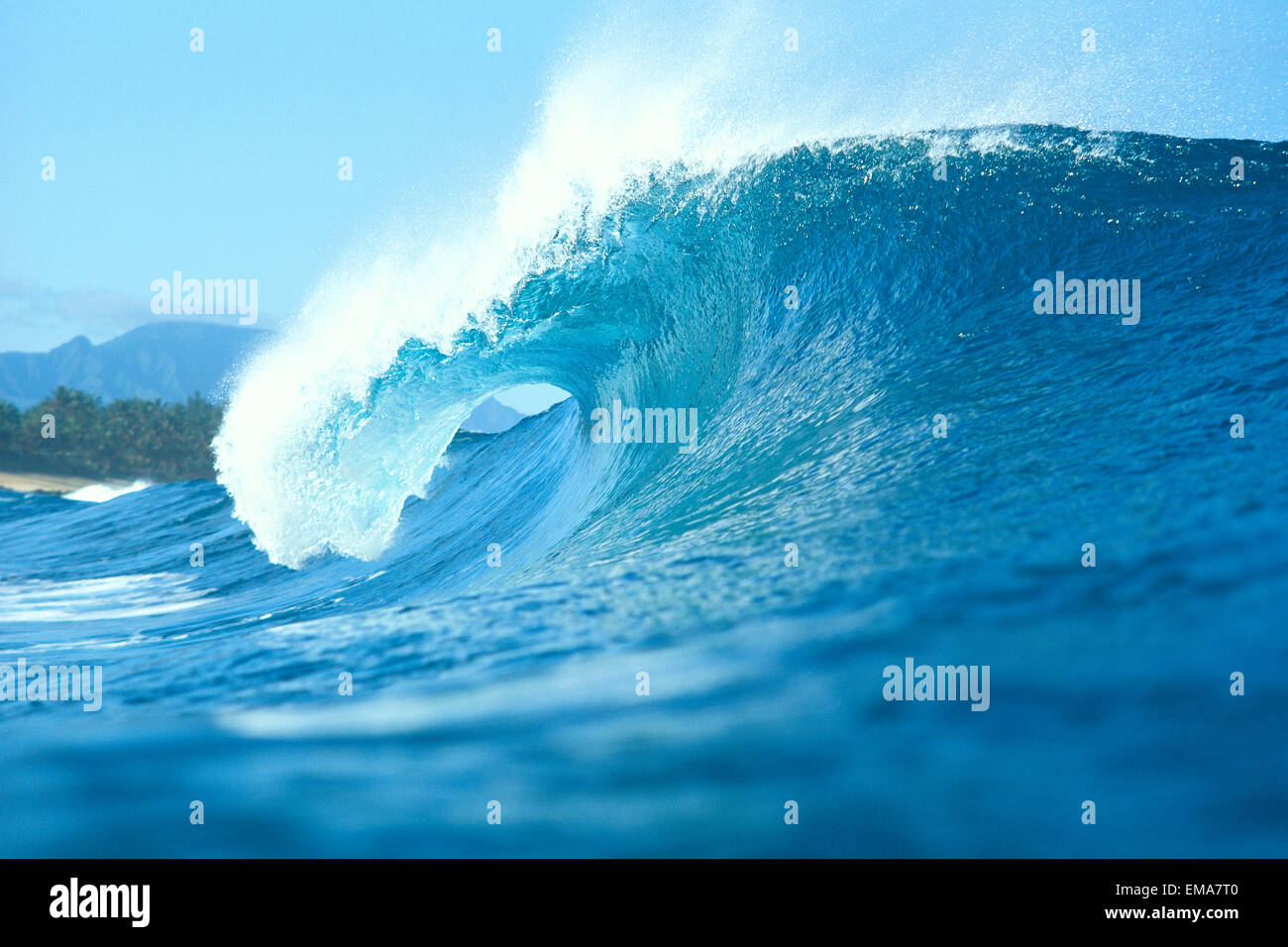 Side View Of Large Wave With Curl Breaks Toward Shoreline Spray Off