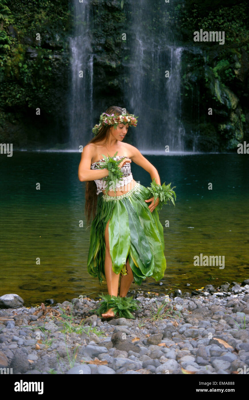 Female Hawaiian Hula dancer wearing coconut bikini, yellow lei, and leaf  skirt - SuperStock