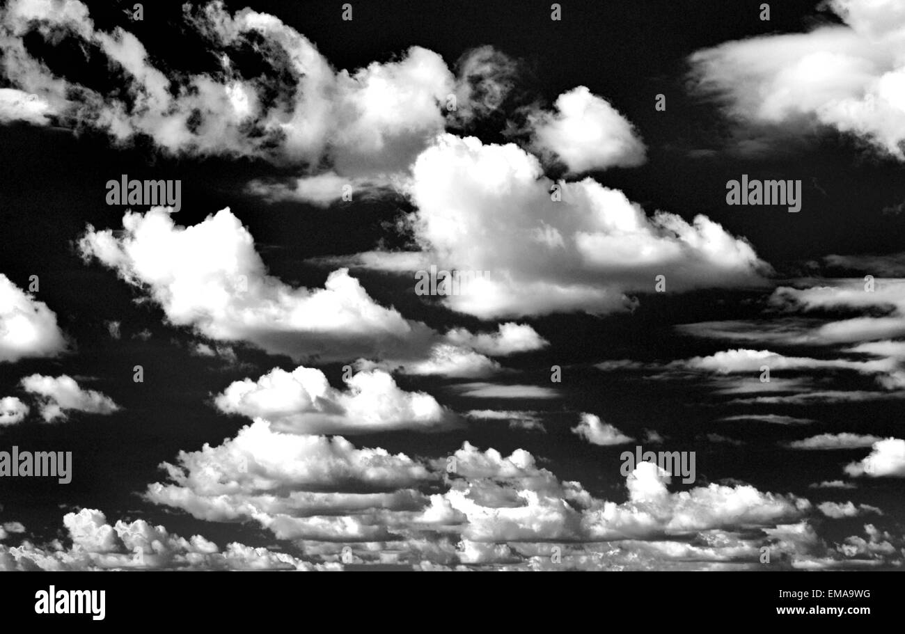 Fair weather clouds  in black and white version Stock Photo