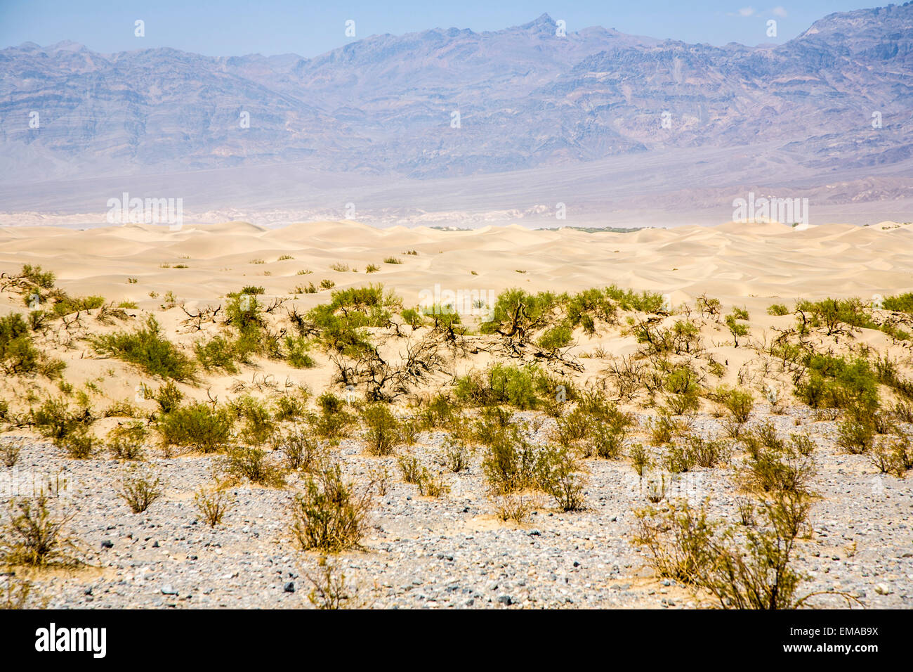 Sand Dunes of Mesquite Flats desert, Death Valley, California Stock Photo