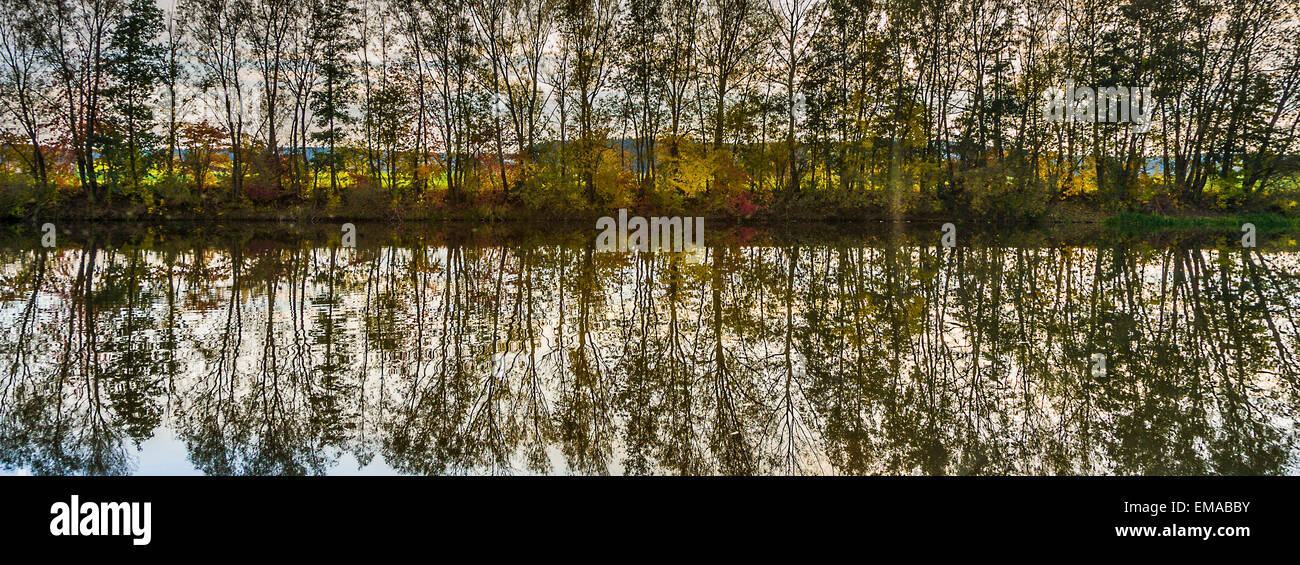 beautiful reflection of trees in river tauber Stock Photo