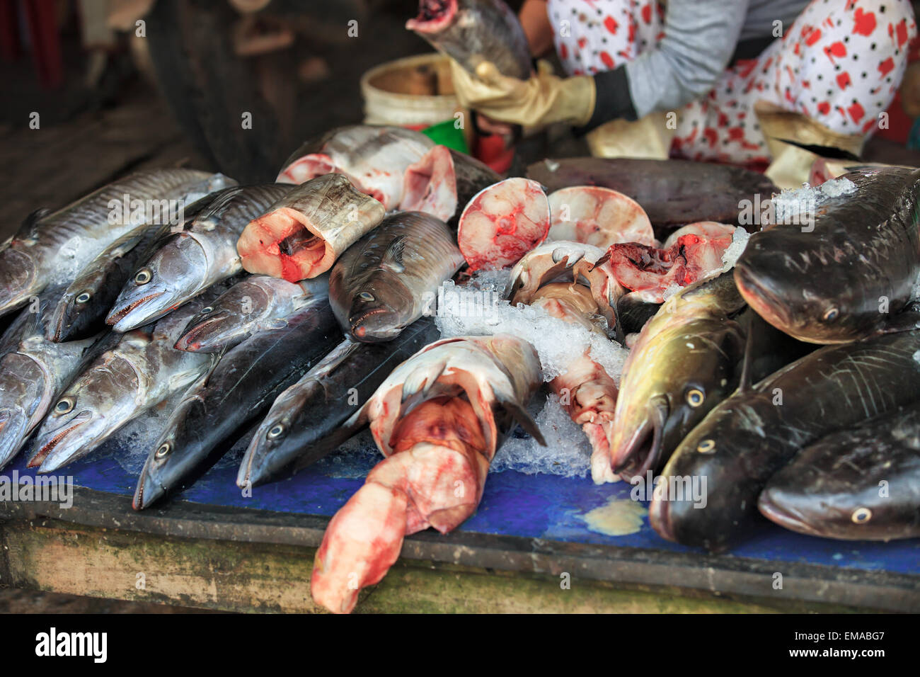 Traditional asian fish market Stock Photo Alamy
