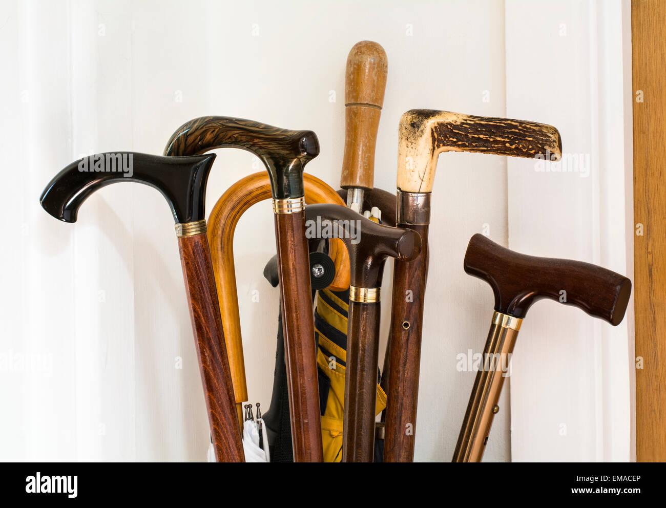 A selection of walking stick and umbrella handles Stock Photo
