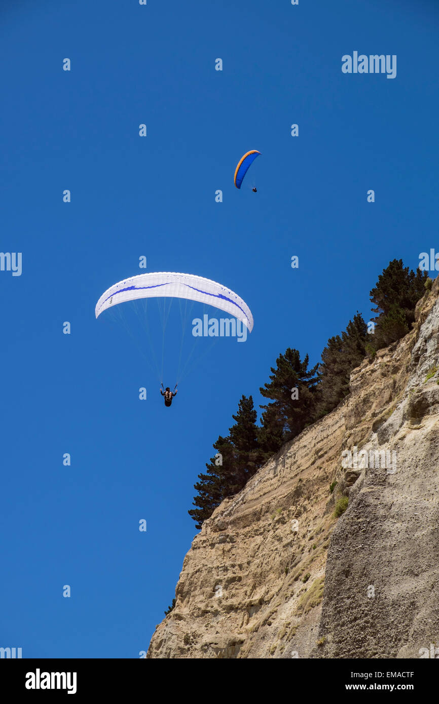 Parascenders fly along the cliffs at Cape Kidnappers, New Zealand. Stock Photo