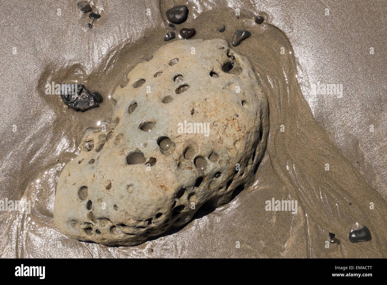 Rock erosion holes hi-res stock photography and images - Alamy