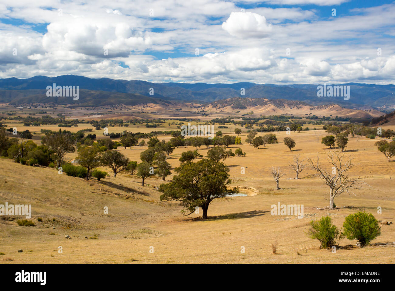 The Alpine Way road near Khancoban on a sunny autumn day in New South Wales, Australia Stock Photo