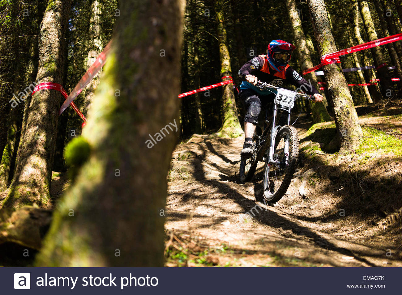 downhill bike emag