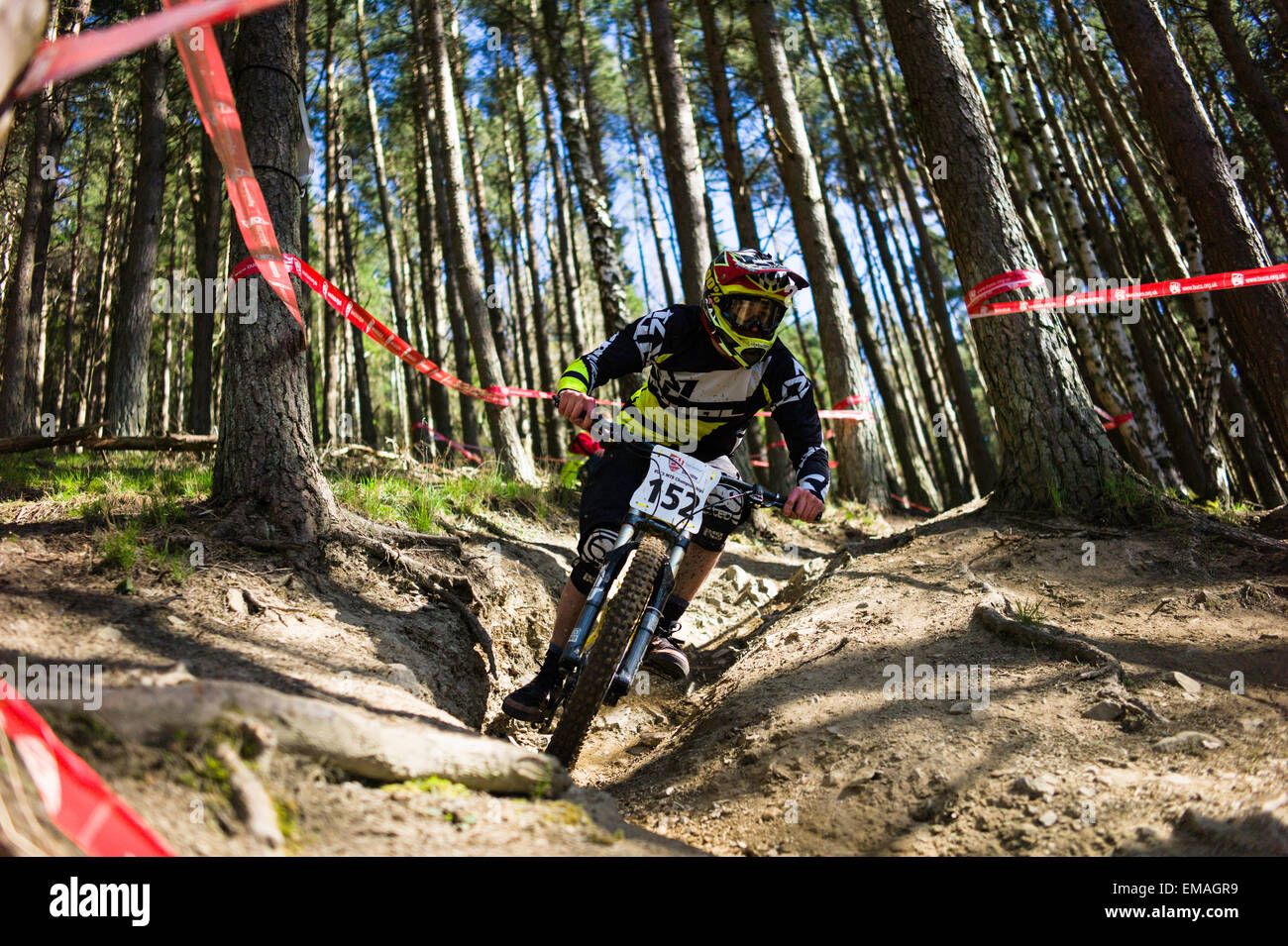 downhill bike emag