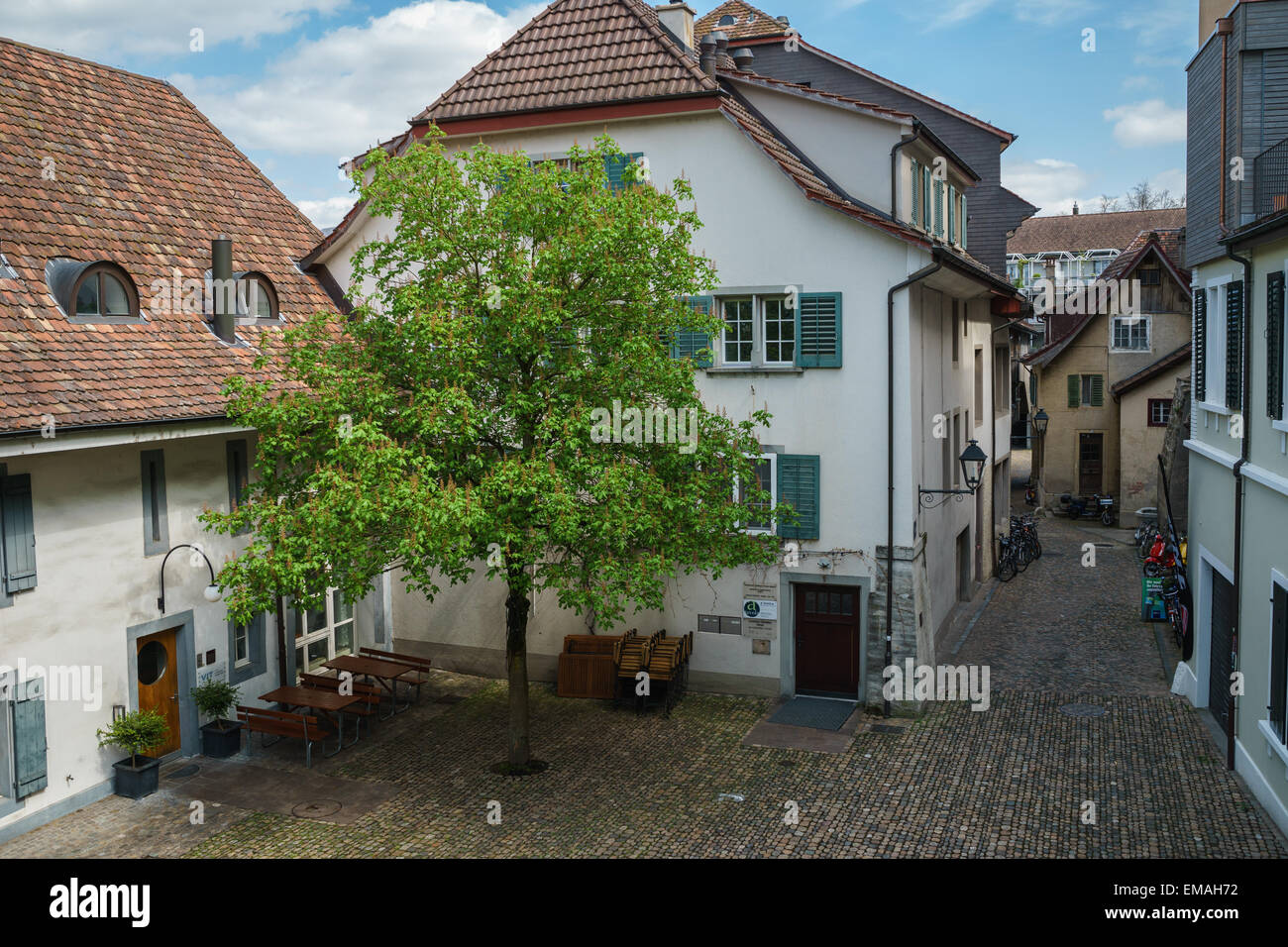 A tree in the midst of swiss city Aarau. Stock Photo