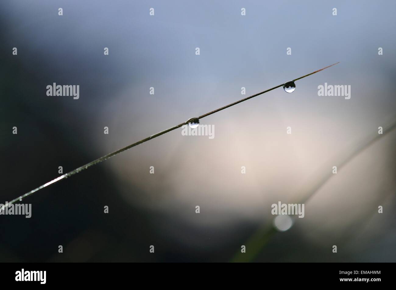 Magical winter morning hi-res stock photography and images - Alamy