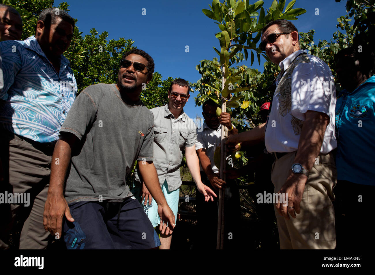 New Caledonia, Noumea, program 'One Tree, One Day, One life', Everything started with the federation of 14 States and Territorie Stock Photo