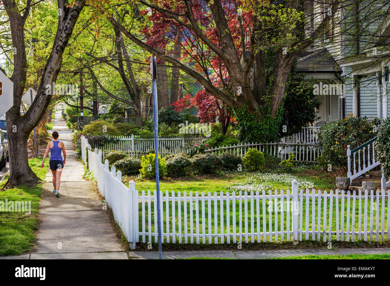 Oakwood Neighborhood, Raleigh, North Carolina Stock Photo Alamy