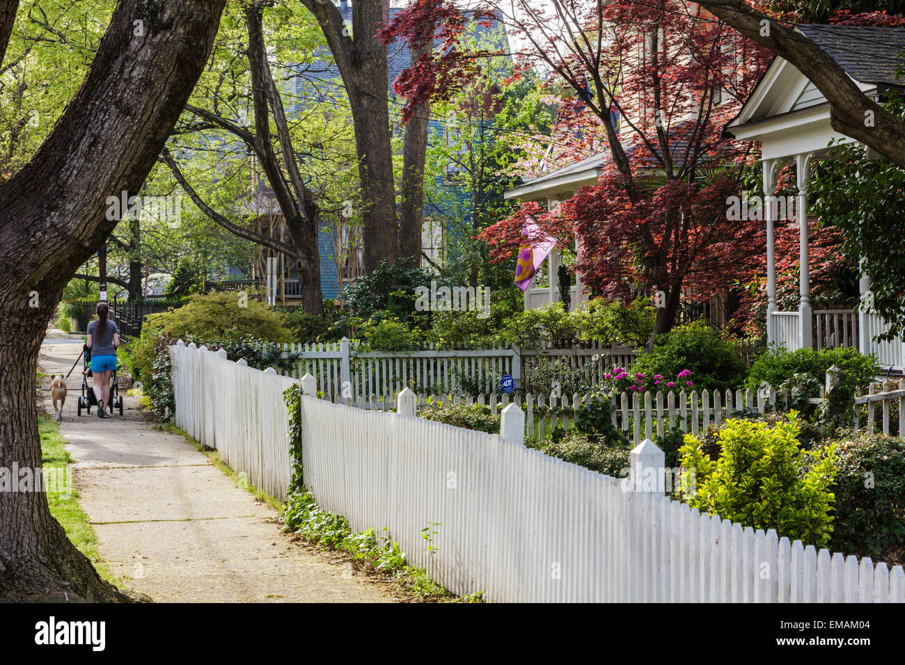 Oakwood Neighborhood, Raleigh, North Carolina Stock Photo Alamy