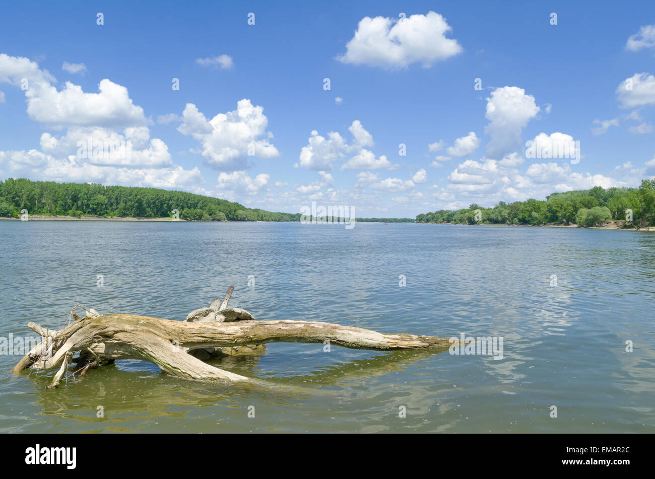 Sunny Danube Riverscape with Driftwood and Cloudy Blue Sky Stock Photo