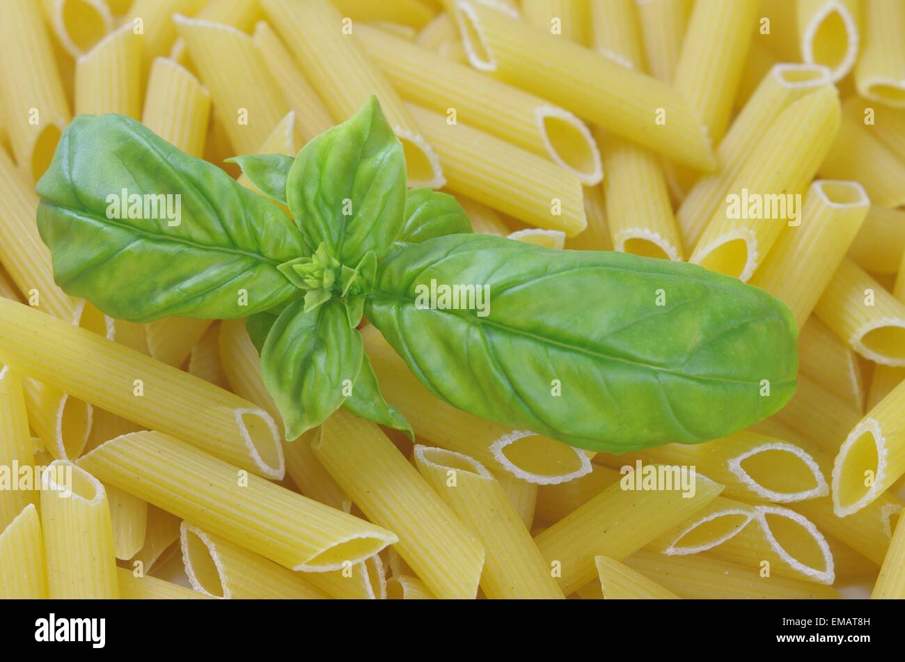pasta macaroni with spice basil on white plate Stock Photo