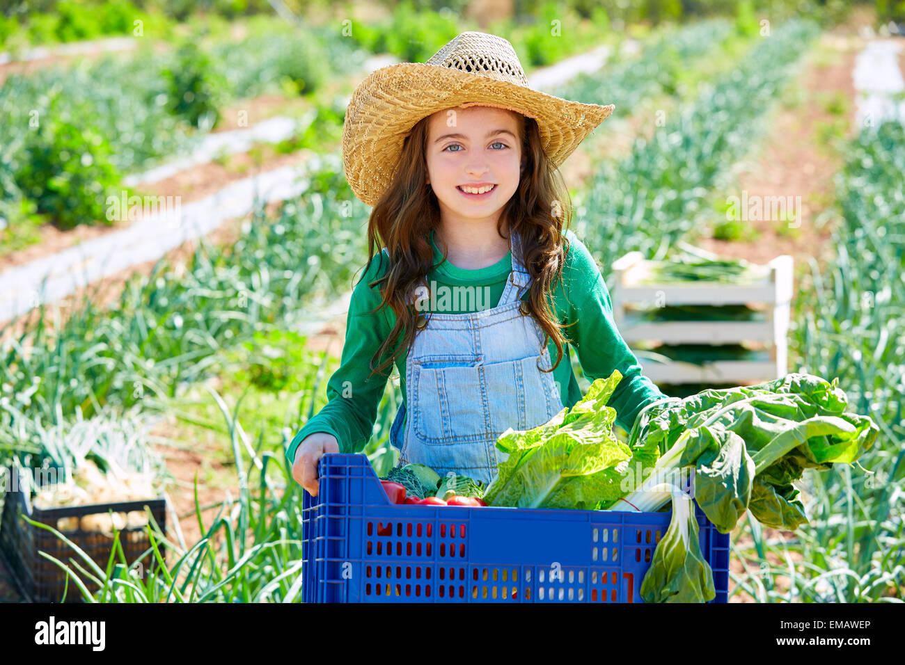 Litte kid farmer girl in vegetables harvest at orchard Stock Photo Alamy