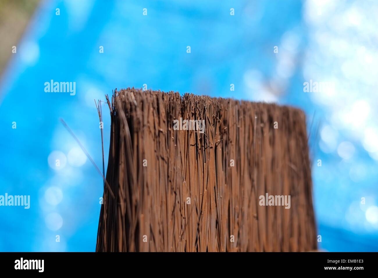 A paint brush loaded with fence paint selective focus point. Stock Photo