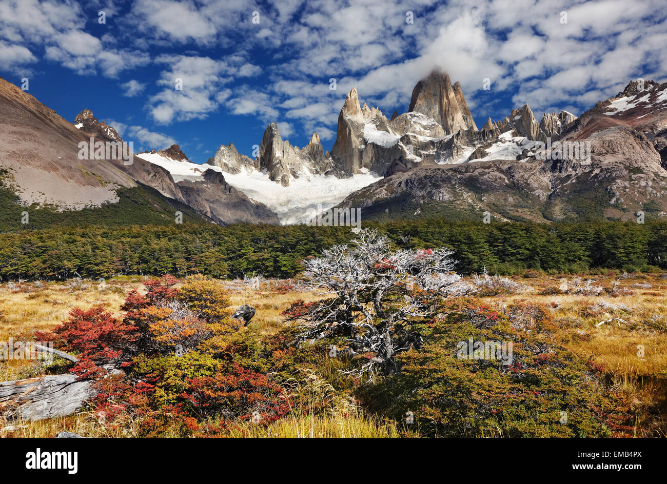 Mount Fitz Roy Los Glaciares National Park Patagonia Argentina Stock mount-fitz-roy-los-glaciares-national-park-patagonia-argentina-stock