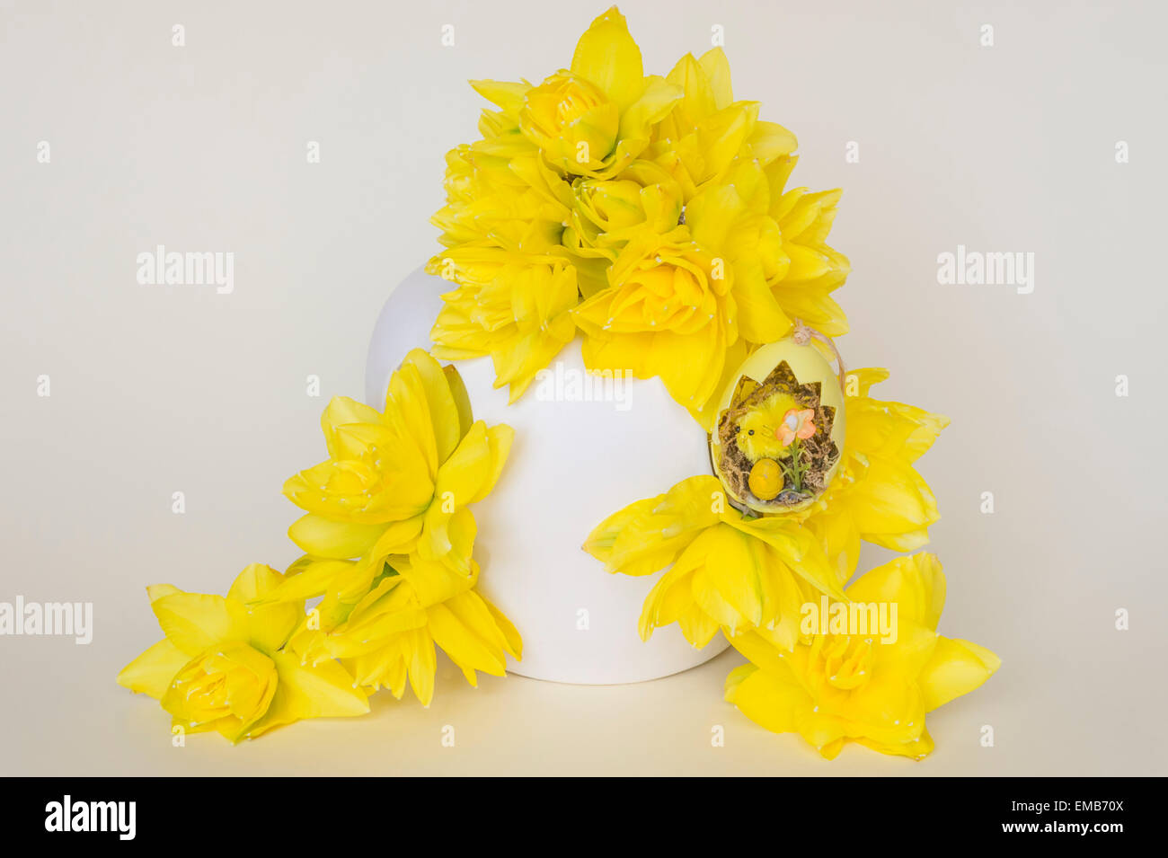 Double Daffodil flowers in an Easter-time Presentation Stock Photo
