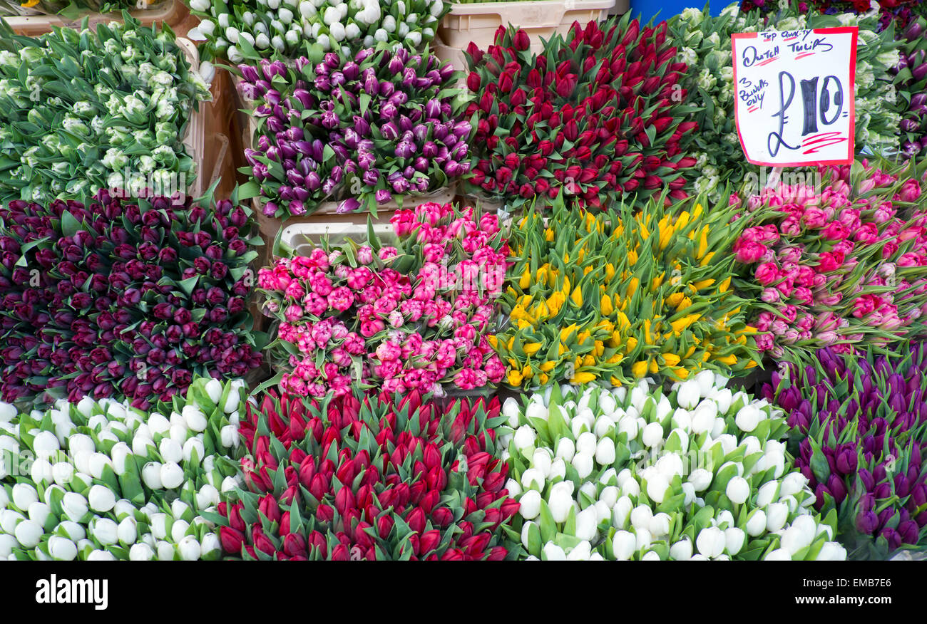 Tulips for sale at the Columbia Road flower market, London, UK Stock Photo