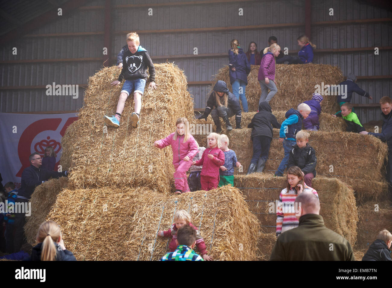 Stoholm, Denmark, Sunday 19th April 2015: the annual Organic Day with open farms all over Denmark. Lots of activities, among them tasting samples of dairy products, meet the cows, clap a calf and a giant straw bale playground. Credit:  Brian Bjeldbak/Alamy Live News Stock Photo