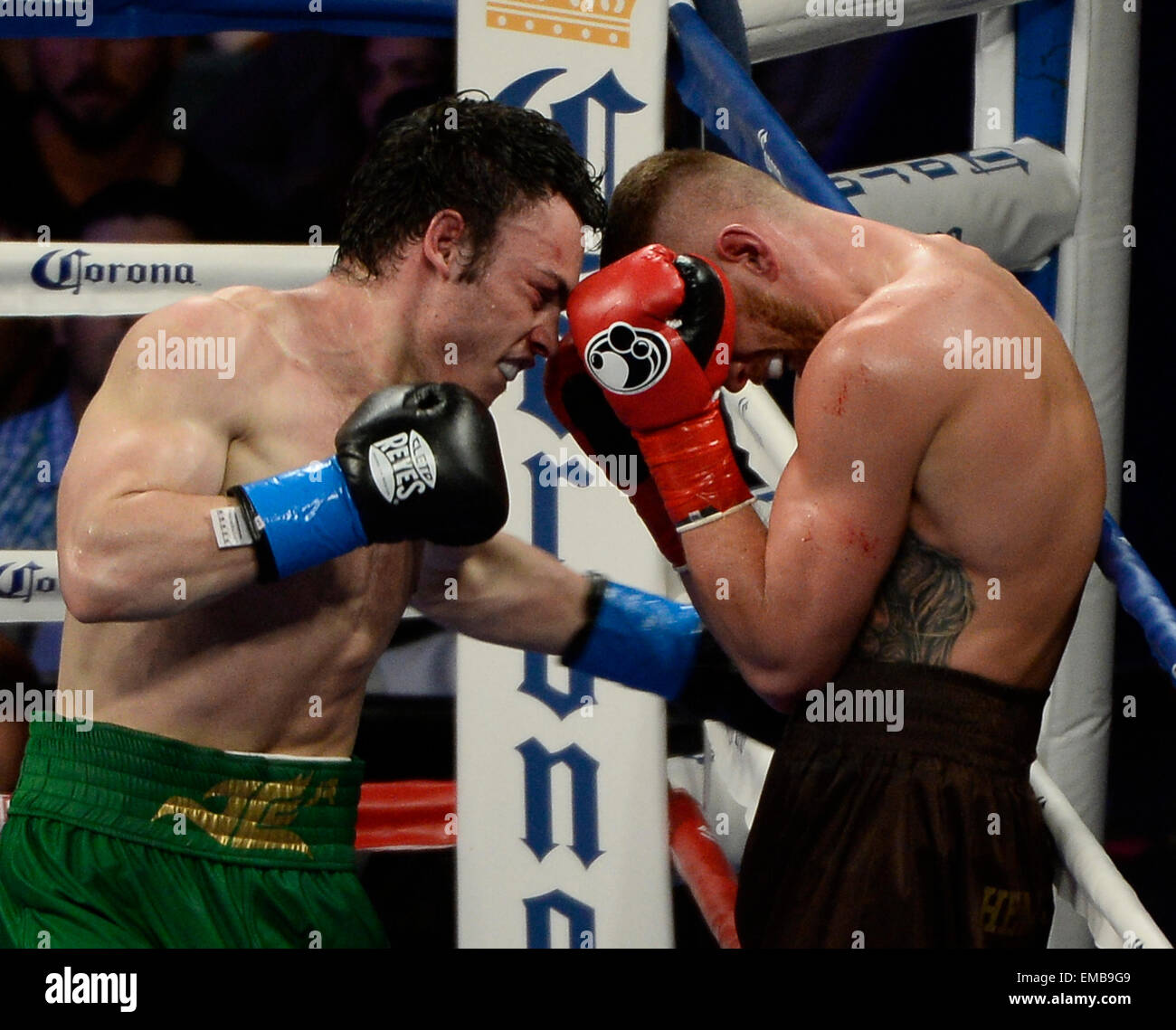 April 18.2015. Carson CA.(in Green trunks) Julio Cesar Chavez Jr only ...