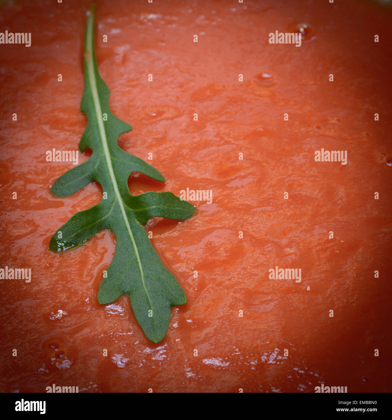Rucola leaf sleeping on tomato souce Stock Photo