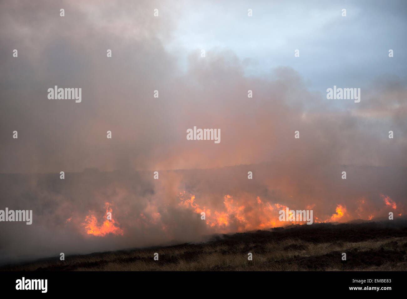 moor in flames, Ilkley moor on fire Stock Photo