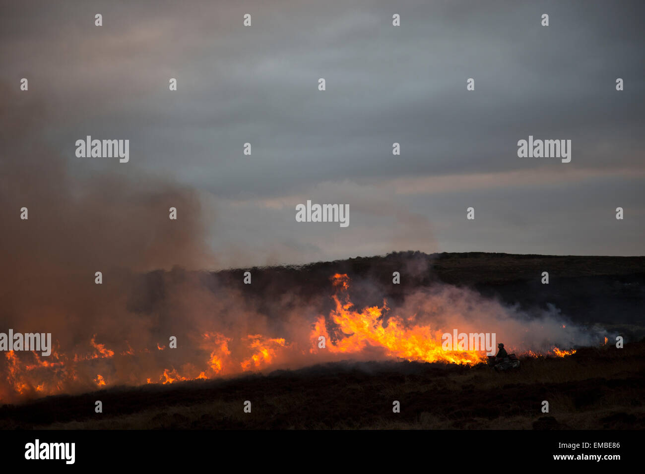 moor worker tending to a controlled fire, heather burn on Ilkley Moor Stock Photo