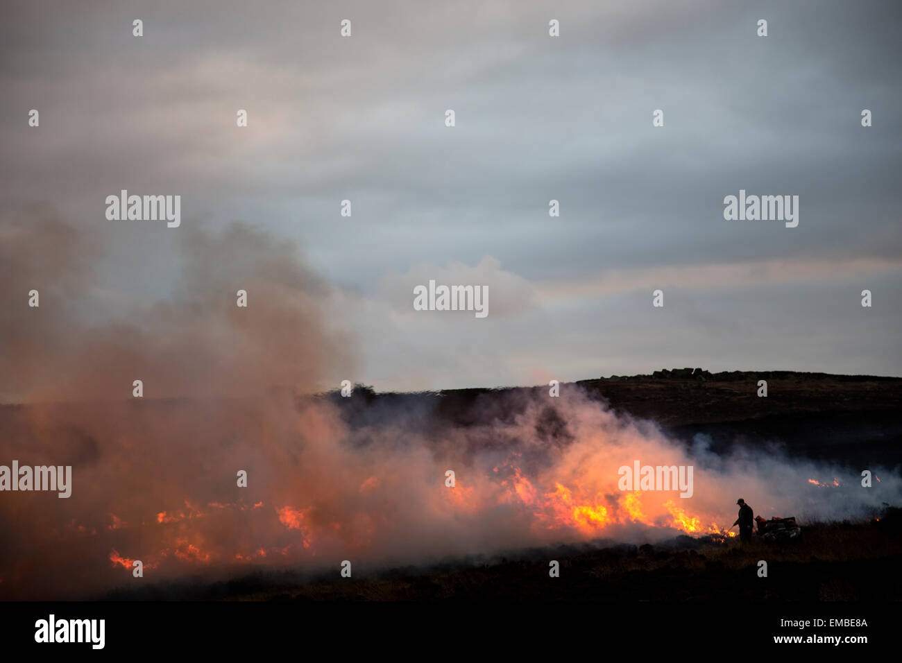 moor worker tending to a controlled fire, heather burn on Ilkley moor Stock Photo
