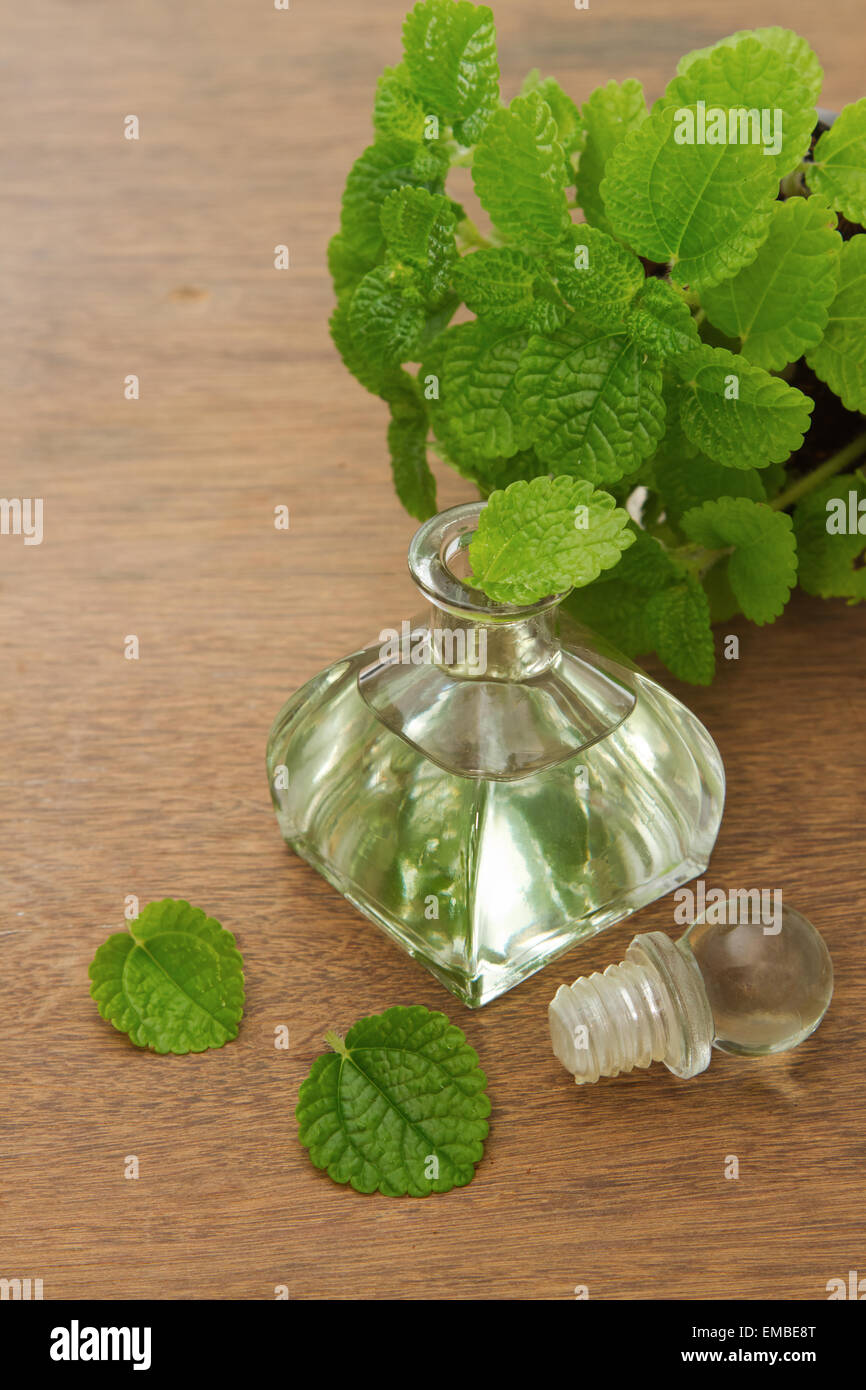 Essential aroma peppermint oil and fresh mint on wooden background ...