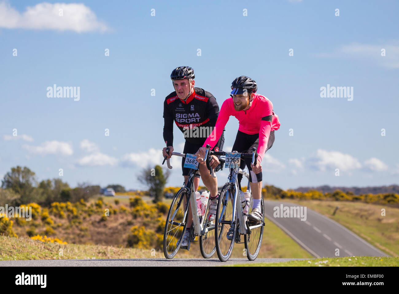 Two male cyclists compete in the New Forest Wiggle Sportive event on a sunny Sunday in Spring Stock Photo