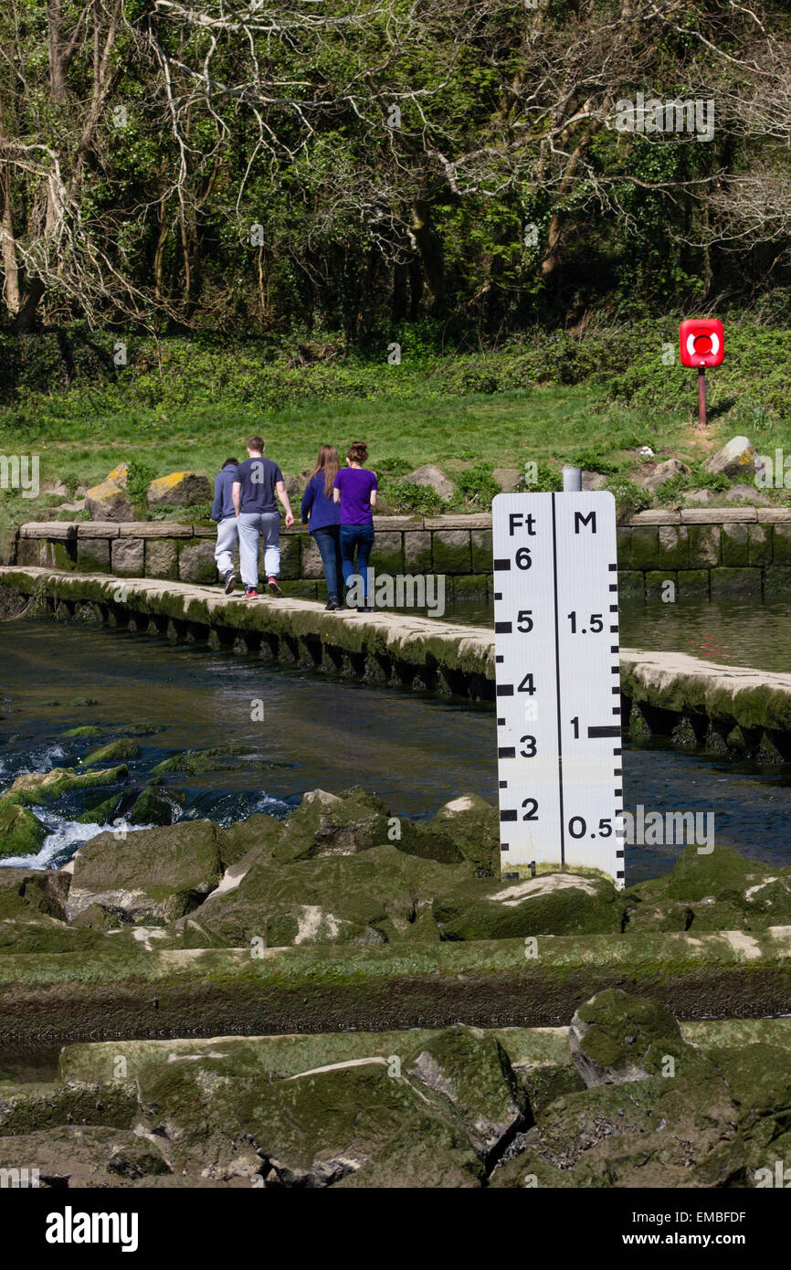 Four teenagers crossing the tidal ford at Lopwell Dam, Devon.  Tide depth gauge in front. Stock Photo