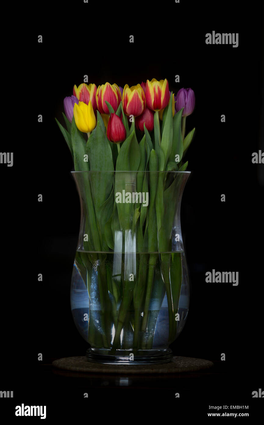 Tulips vase on black Stock Photo - Alamy