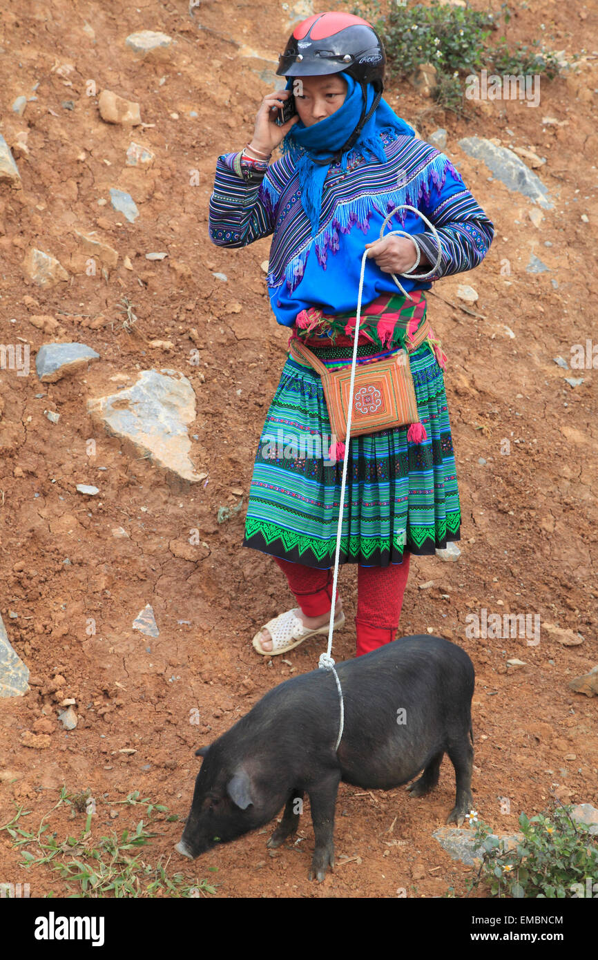 Vietnam, Lao Cai Province, Can Cau, market, hill tribe people, woman with piglet, mobile phone, motorcycle helmet, Stock Photo