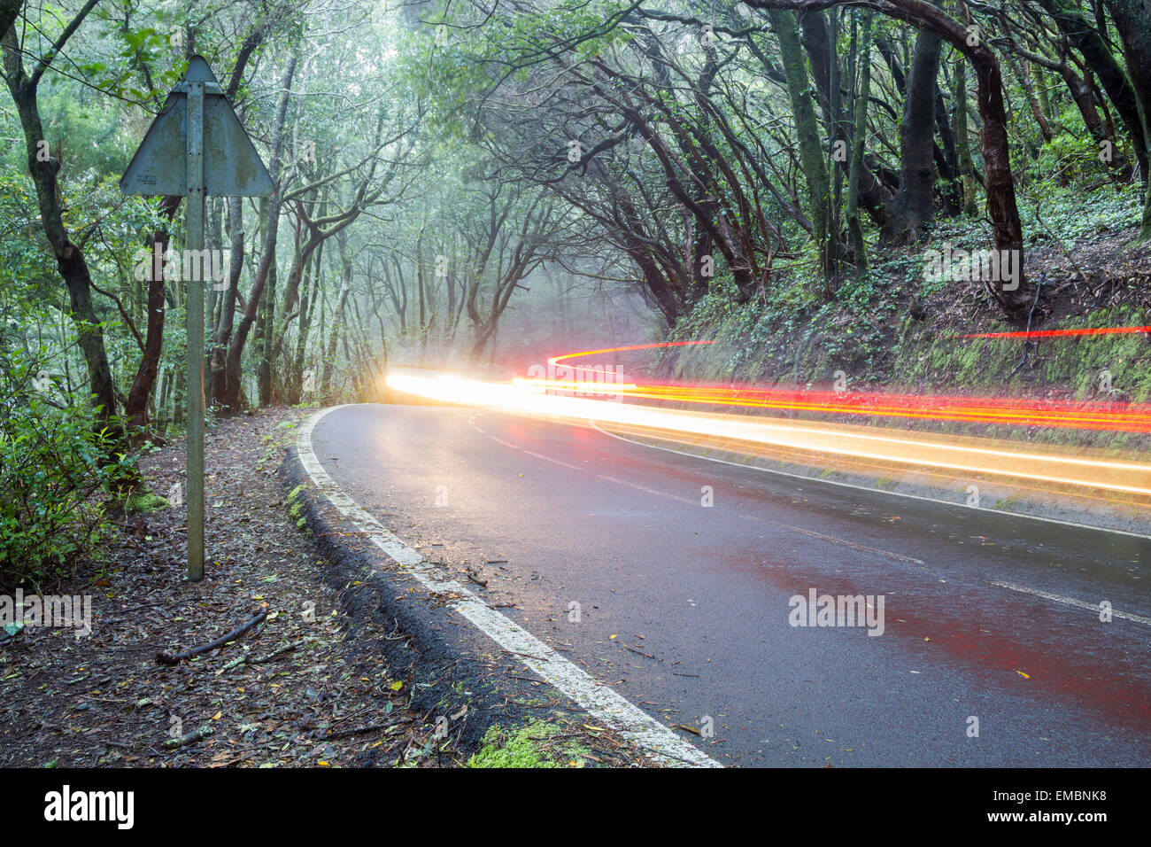 Car light trails on forest road Stock Photo