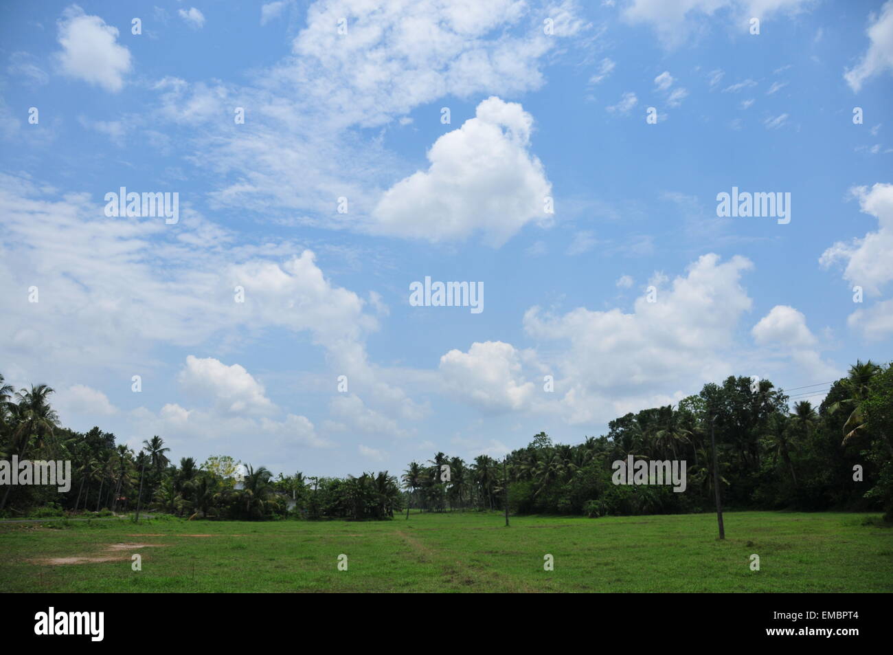 A wide view of a blue sky and a green field. Stock Photo