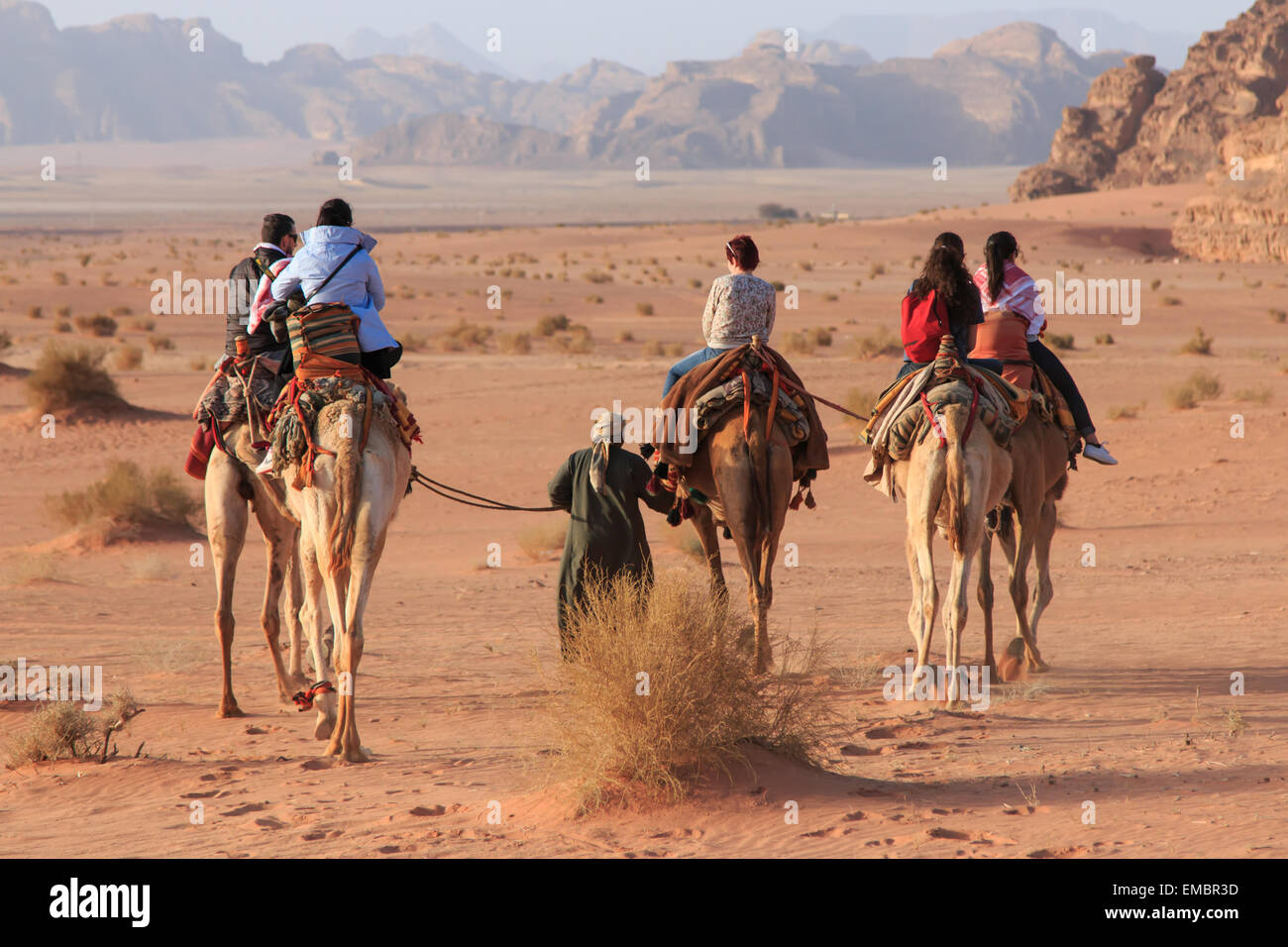 Wadi Rum, Jordan March 24,2015 Tourists riding camels at sunset in