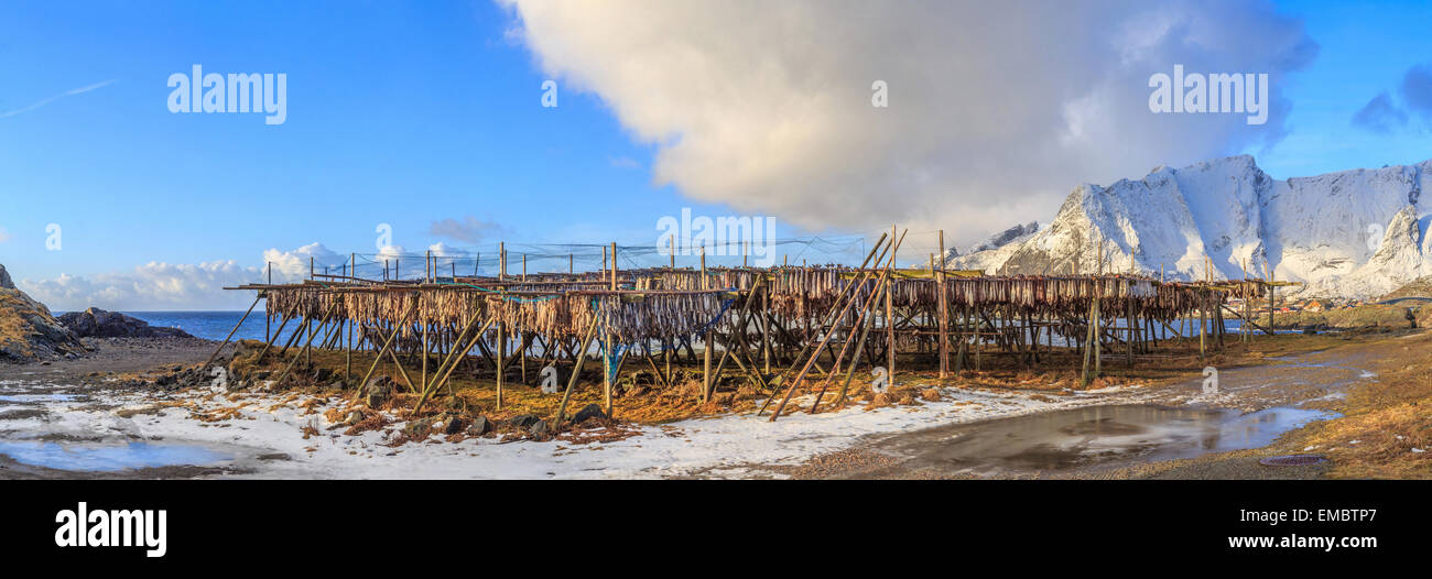 Lofoten food hi-res stock photography and images - Alamy