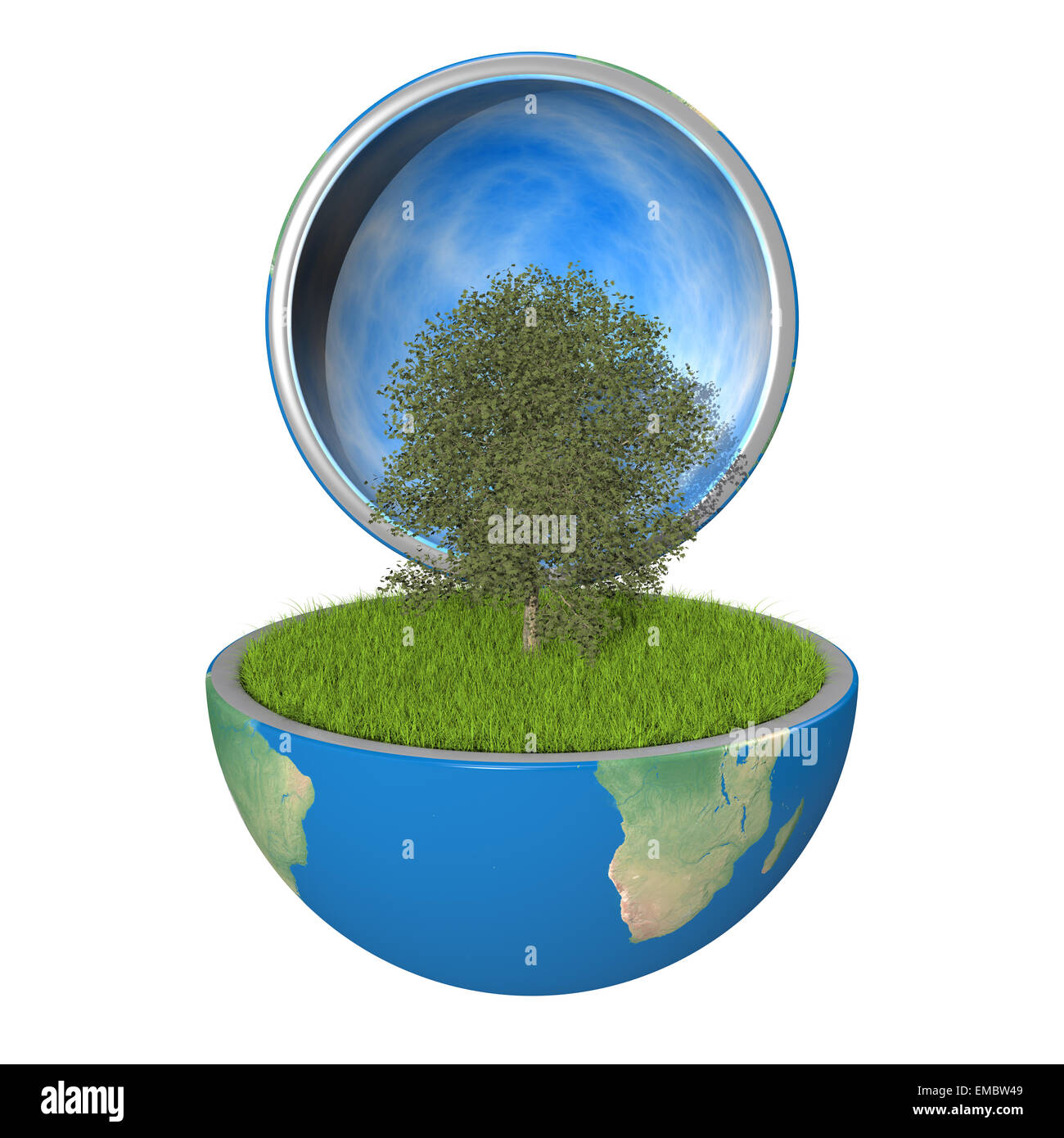 Planetree growing inside opened planet Earth, isolated on white background, concept of ecology. Elements of this image furnished Stock Photo