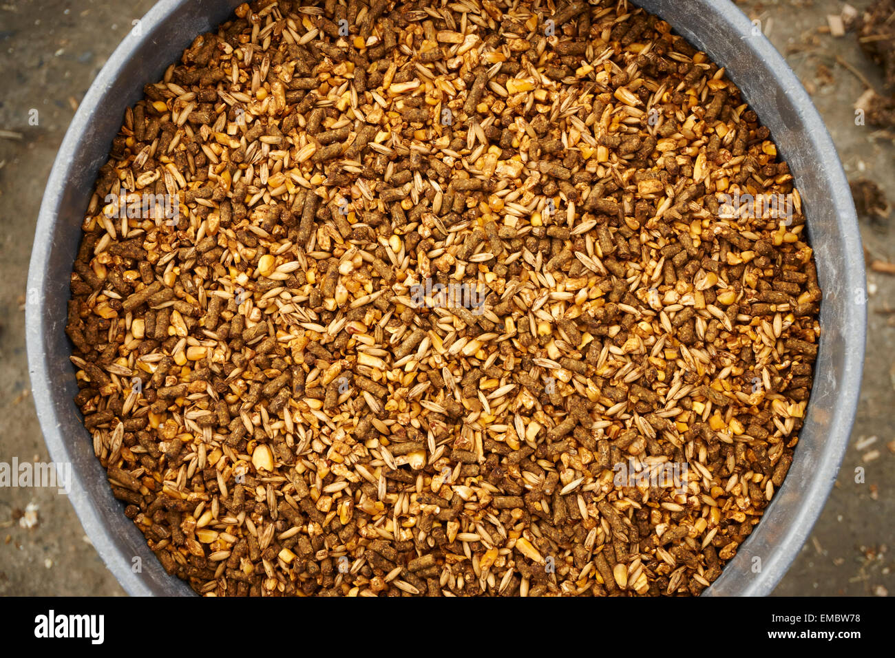 Feed grain at a Pennsylvania dairy farm Stock Photo Alamy