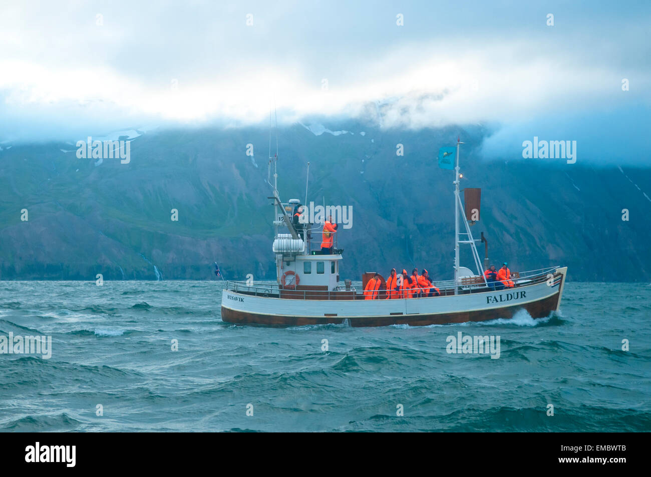 Whale watching tour, Husavik, Northern Region, Iceland Stock Photo