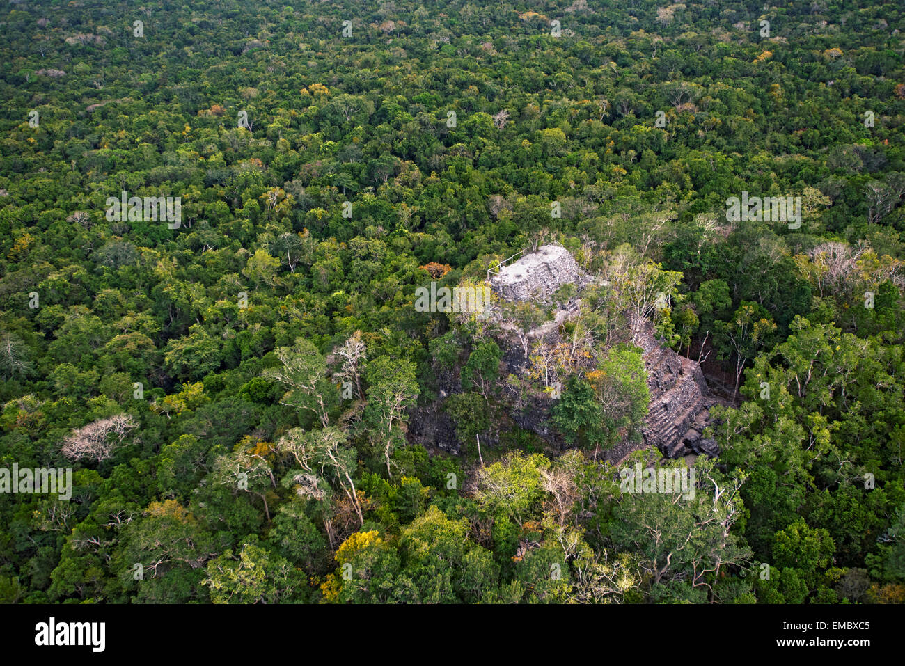 La Danta Complex; El Mirador, Guatemala Stock Photo