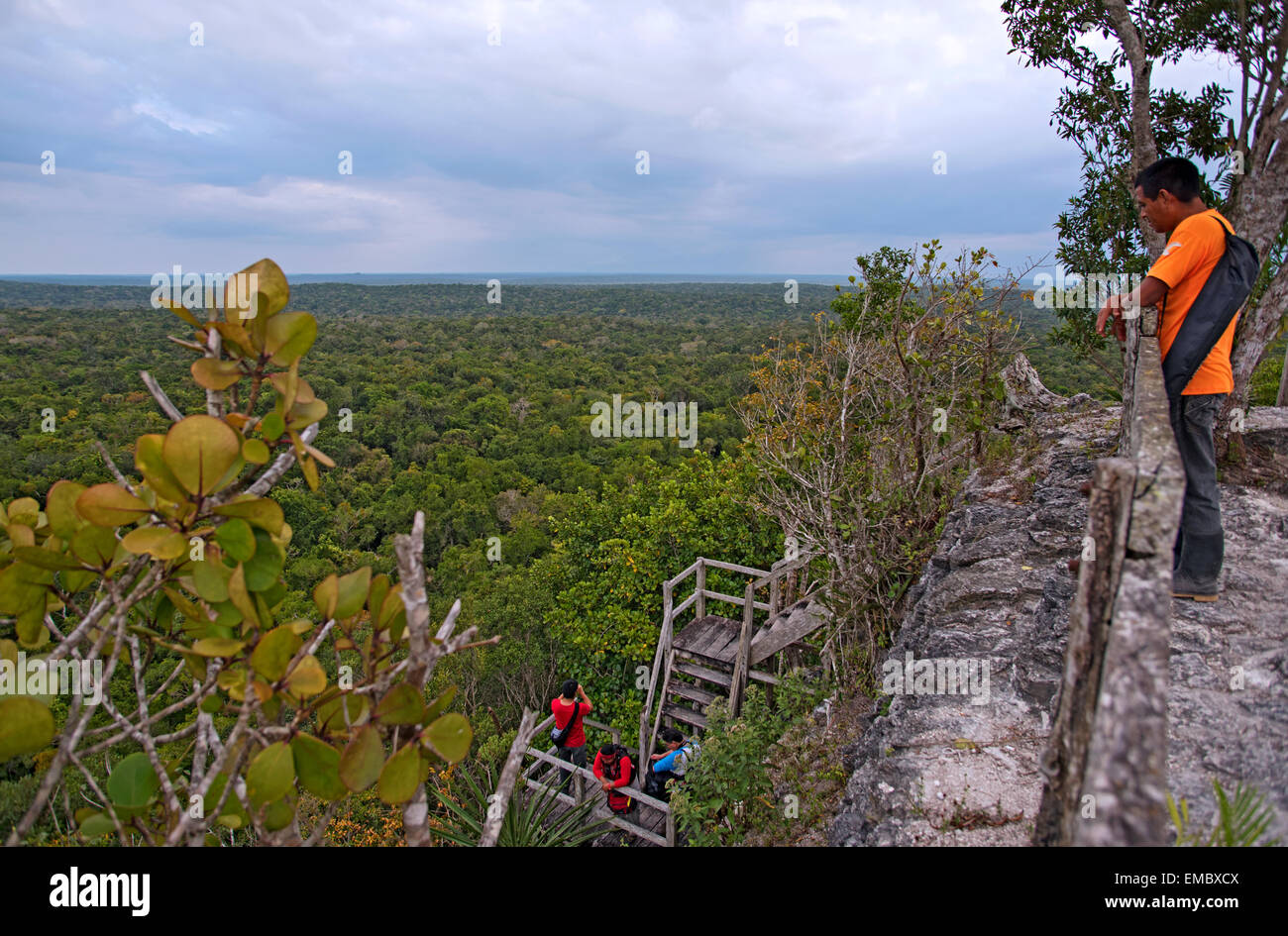View from atop La Danta pyramid in El Mirador, Guatemala Stock Photo